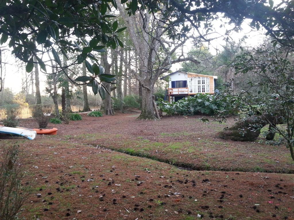Casa Del Bosque Villa Tigre Dış mekan fotoğraf