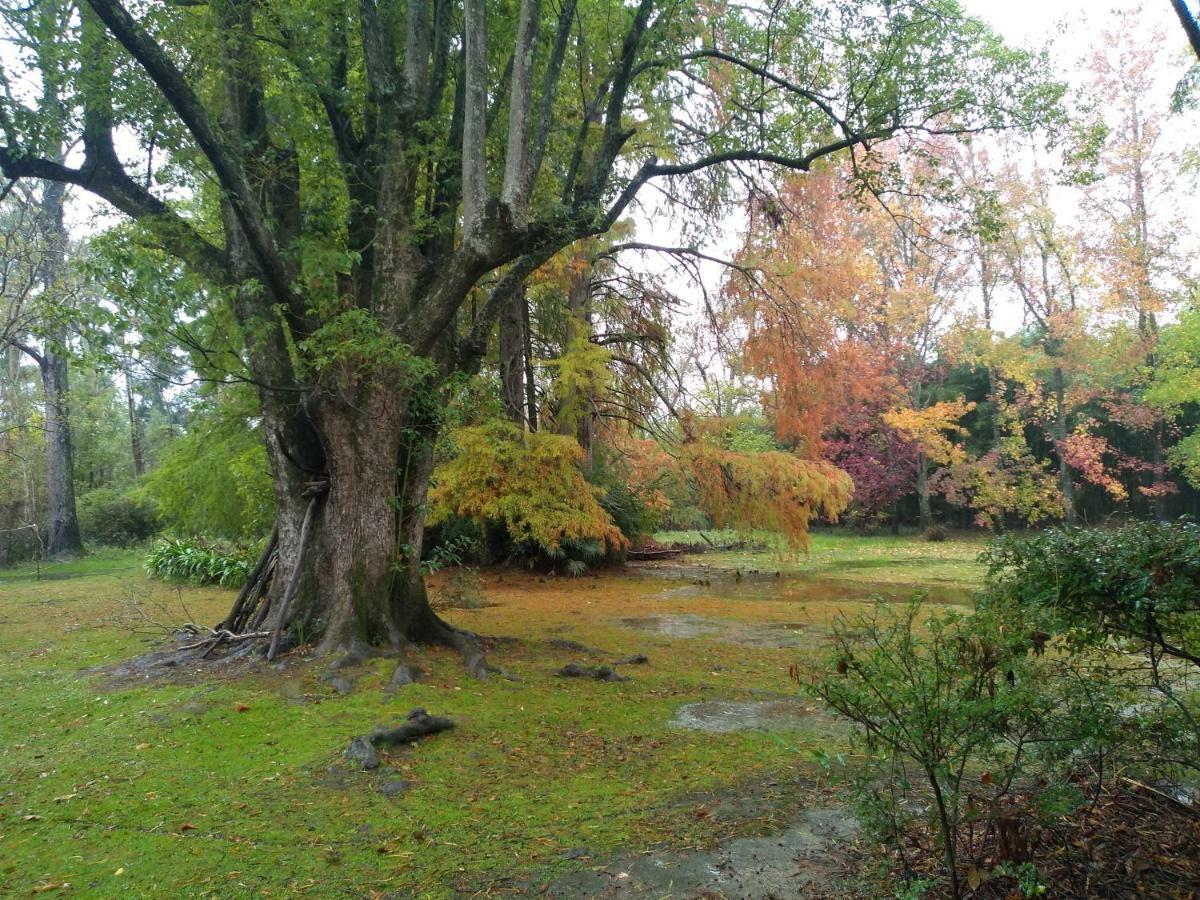 Casa Del Bosque Villa Tigre Dış mekan fotoğraf